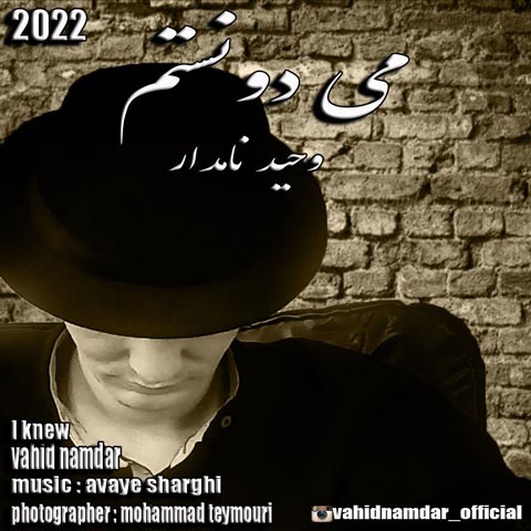 دانلود آهنگ وحید نامدار میدونستم
